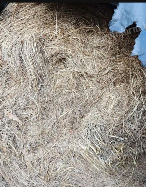 Hay bale for sale