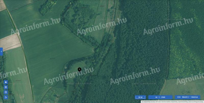 For sale field, meadow - Nagykónyi outskirts