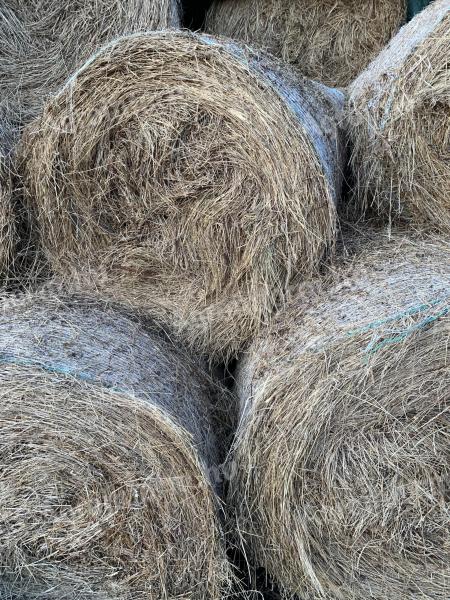 Bale of hay