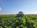 Aussaat landwirtschaftlicher Lohnarbeiten