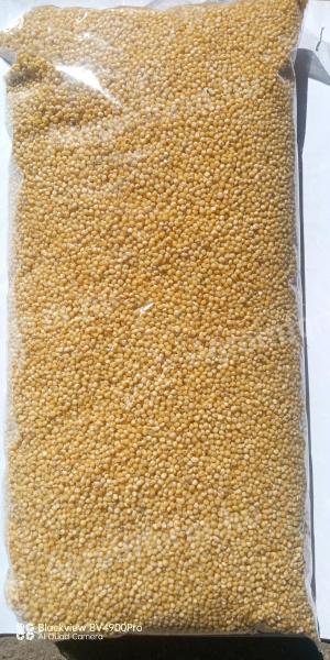 Millet for human consumption