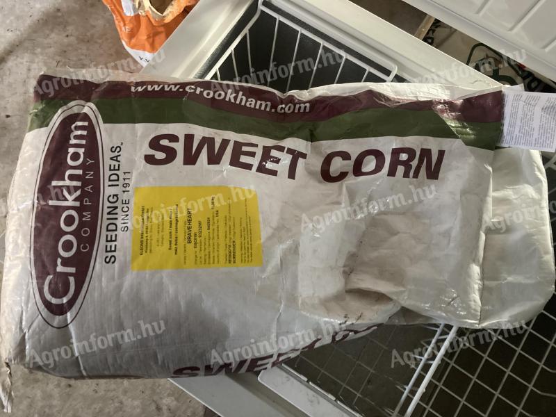 Sweet corn, super sweet