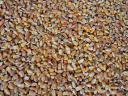 Maize for sale