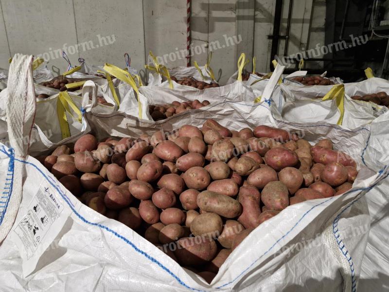 Potatoes for sale