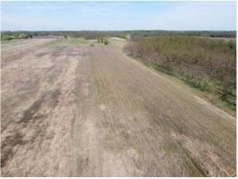 Eladó 5,48 ha szántó + erdősáv, Nyíradony
