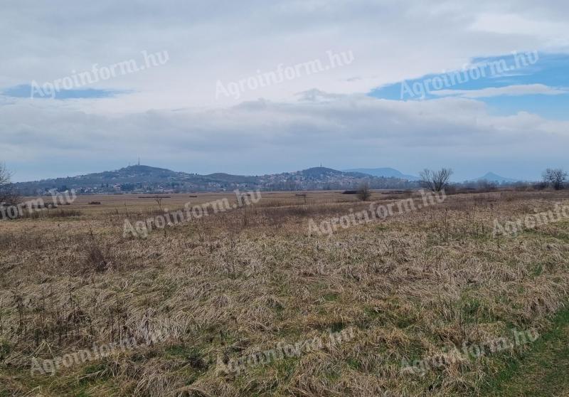 Travnik, pašnik za prodajo v Fonyódu