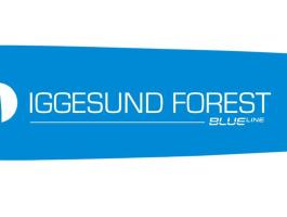 Iggesund IF2811-75 vezetőlap