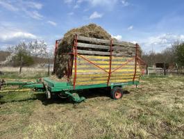 Steyr plus 17 hamster