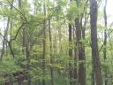 Building plot for sale in Gyula