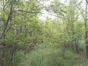 Building plot for sale in Gyula