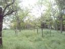 Building plot for sale in Gyula