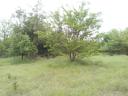 Building plot for sale in Gyula