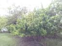 Building plot for sale in Gyula