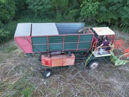 Kenderarató kombájn / Hemp Harvester