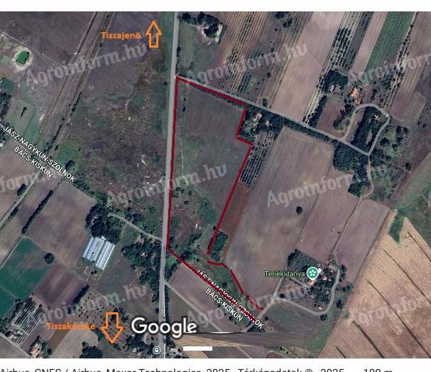 Ekologické pole a pastvina na prodej (5094 Tiszajenő, předměstí)