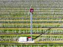 WepiFrost Fix wind machine, 10 m/30 kW - FIATAL GAZDA PÁLYAT - Frost damage prevention in orchards