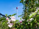 WepiFrost Fix wind machine, 10 m/30 kW - FIATAL GAZDA PÁLYAT - Frost damage prevention in orchards