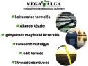 Produkt mikrobiologiczny VegaAlga do poprawy jakości upraw