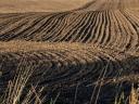 Bewässerbare 13,7 ha Kőtelek Stadtrand