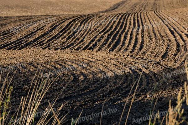 Bewässerbare 13,7 ha Kőtelek Stadtrand