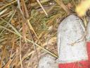 Lawn hay for sale