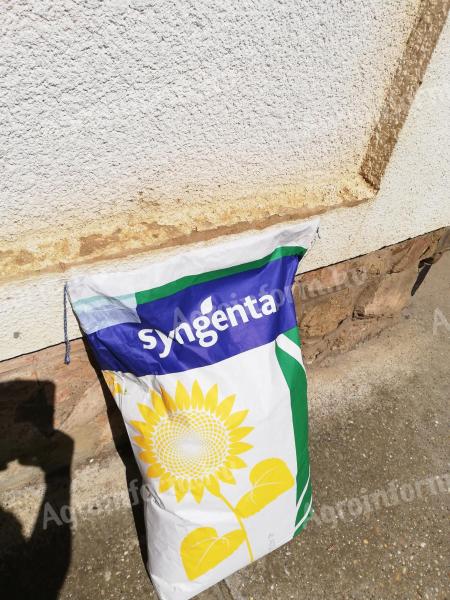 Sy Experto