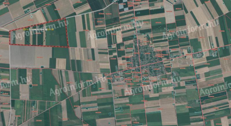3,2 Hektar Ackerland zum Verkauf in Gerendás