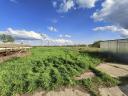 Kiadó fejlesztési célú telek (4000 m²) – Tószeg,  Császárdűlő – Napelemparkhoz ideális
