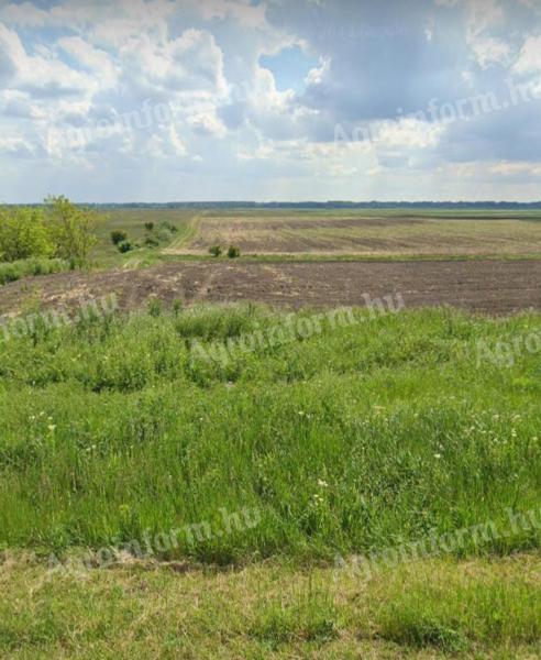 32 Hektar großes Grundstück neben der Hauptstraße: 4 ha Acker + 28 ha Weide + 1045 m2 unbebautes Baugrundstück Baugrundstück