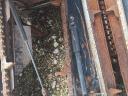 Geringhoff Horizon Star corn cutting table