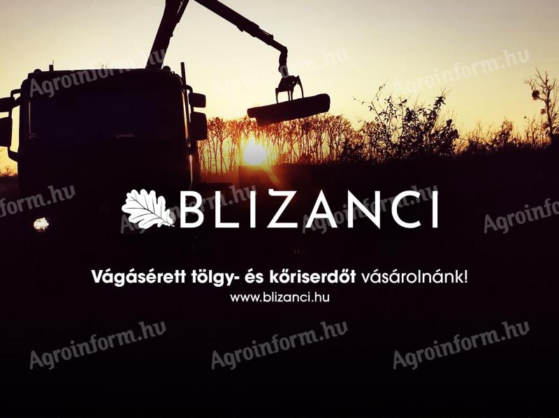 BLIZANCI Ltd. would like to buy oak and ash woods ripe for cutting