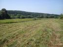 6,7 ha Wiese/Wiese zu verkaufen