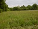 6,7 ha Wiese/Wiese zu verkaufen