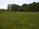 6,7 ha Wiese/Wiese zu verkaufen
