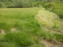 6,7 ha Wiese/Wiese zu verkaufen