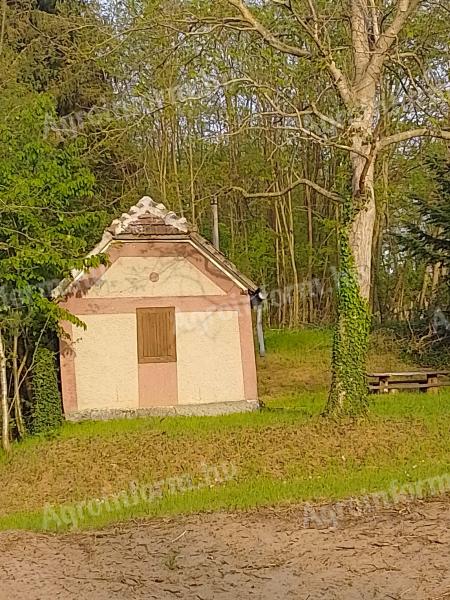 Mountain estates for sale