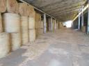 8 ha farma s budovami na prodej v Rákóczifalván
