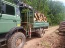 Renault Midliner M180