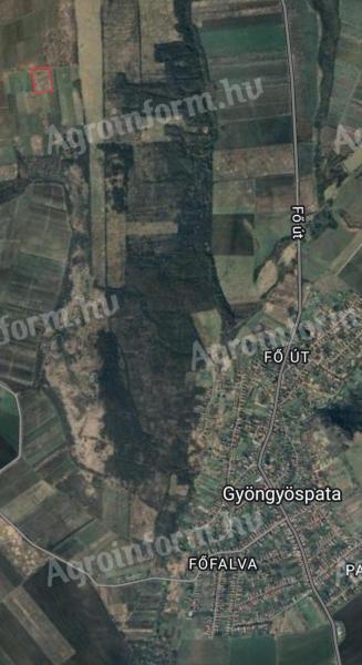 1 ha of orchard land near Gyöngyöspata