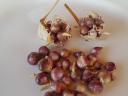 Garlic seed, ancient Hungarian variety available