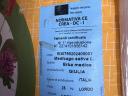 Semințe de lucernă - GIULIA