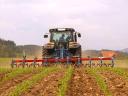HATZENBICHLER 4-16 row row cultivator