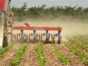 HATZENBICHLER 4-16 row row cultivator