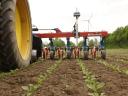 HATZENBICHLER 4-16 row row cultivator