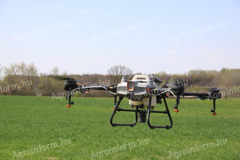 Drone spraying fungicide application in sunflowers - now official, legal