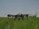 Drone spraying fungicide application in sunflowers - now official, legal
