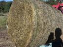 Lucena Senegal bale