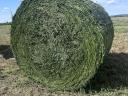 Lucena Senegal bale
