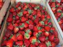 Strawberries, strawberries, strawberries
