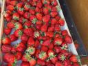 Strawberries, strawberries, strawberries